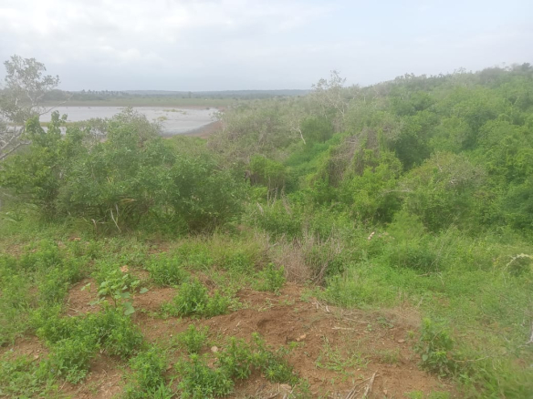 mkaazi-garashi-farm-land-for-sale-8
