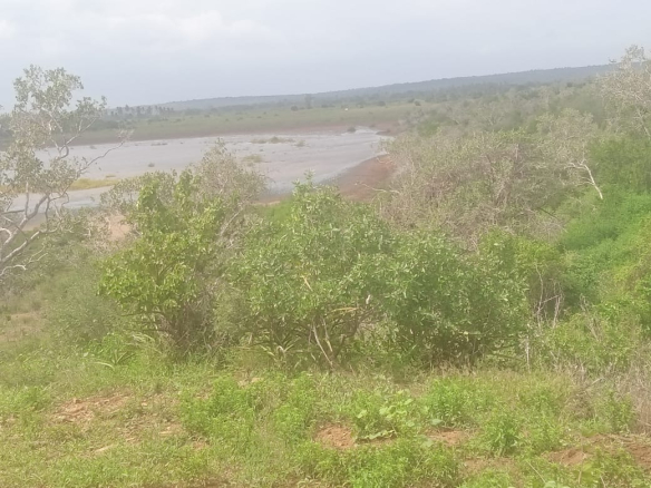 mkaazi-garashi-farm-land-for-sale-9