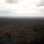 mkaazi-mwangea-4000-acres-for-sale-1