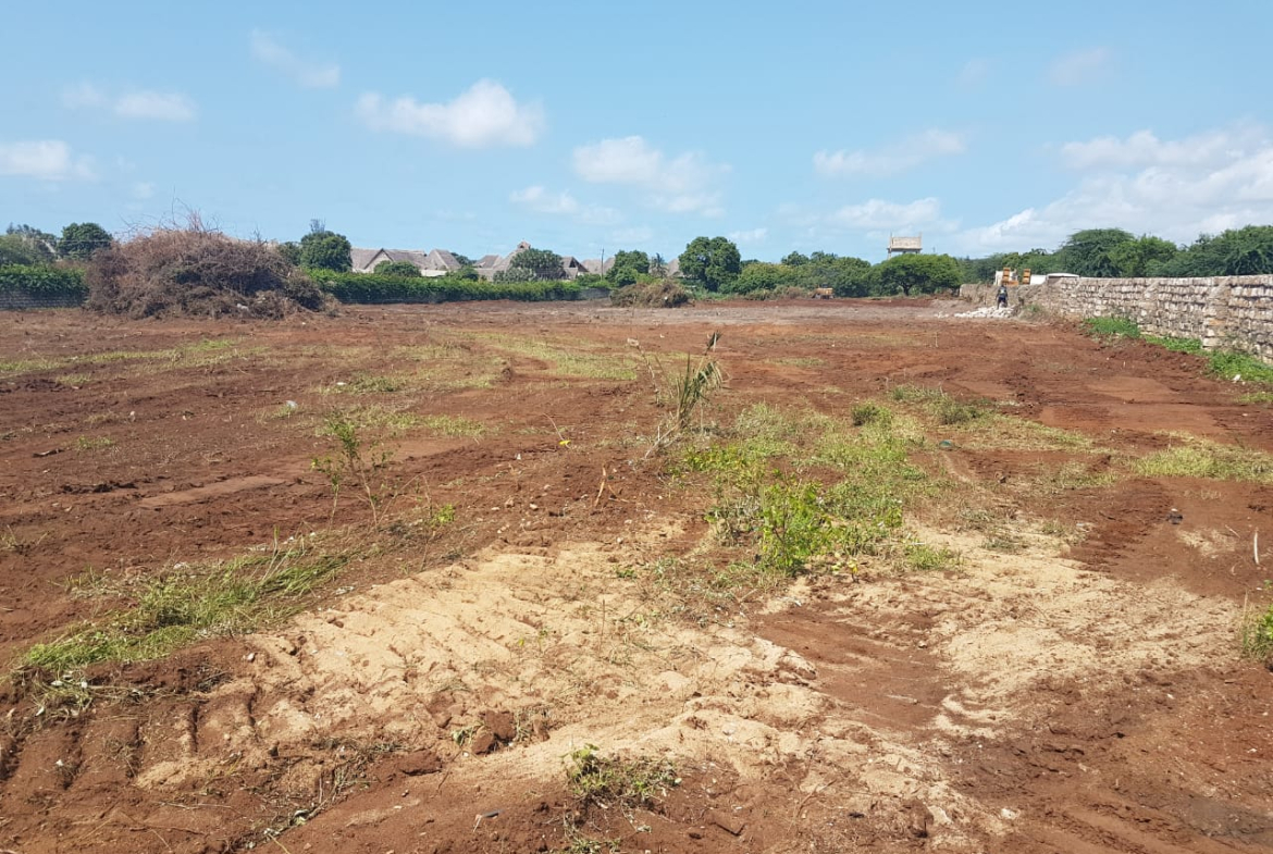 mkaazi-quota-acres-mambrui-2