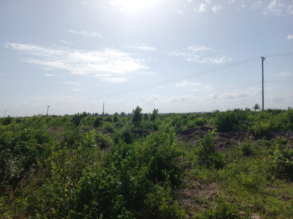 quarter-acres-for-sale-in-mayungu