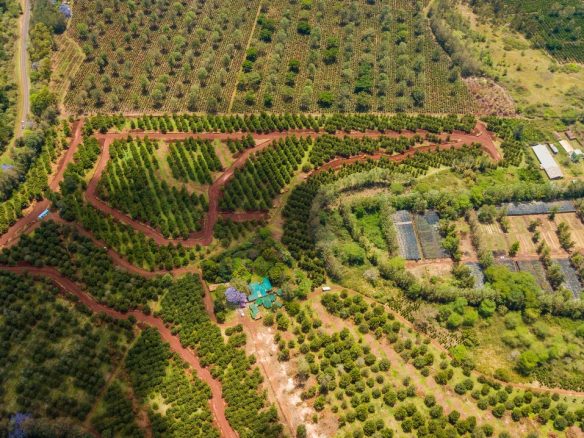 Thika Grove plots for sale