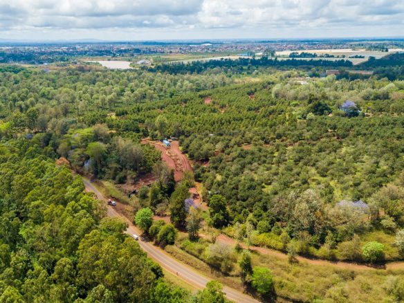 Thika Grove plots for sale