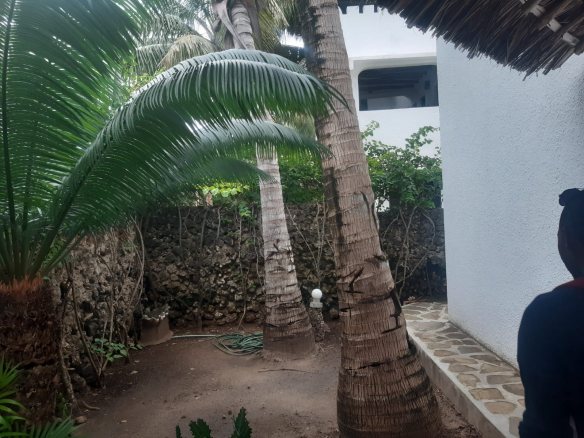 watamu-4-bedroom-upeponi-19