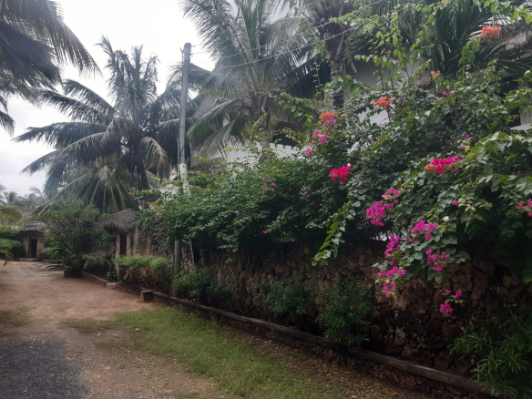 watamu-4-bedroom-upeponi-22