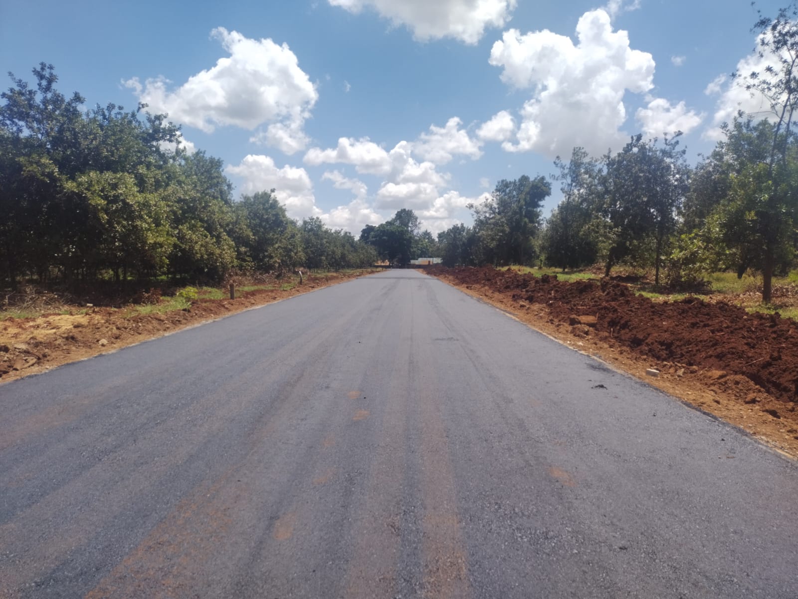 Thika Grove plots for sale