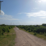 quarters-for-sale-in-mayungu