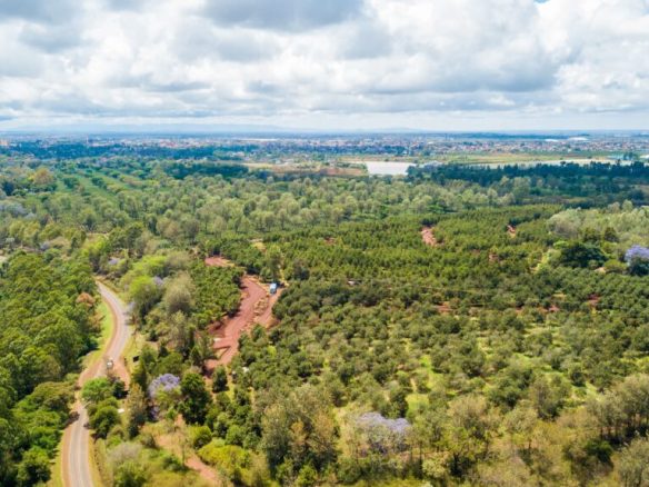 Thika Grove plots for sale