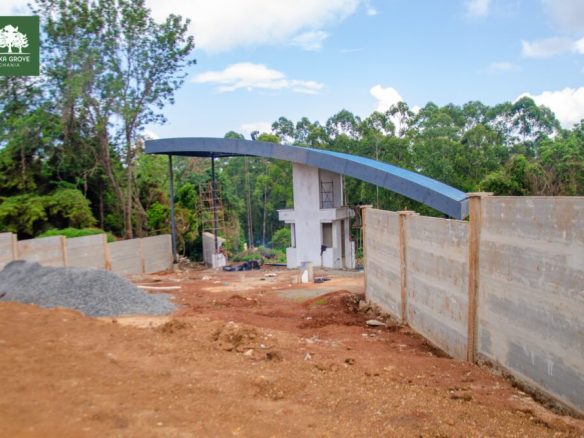 Thika Grove plots for sale