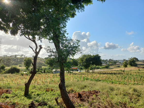 50-by-100-plots-mamburi-ocean-view-mkaazi-1