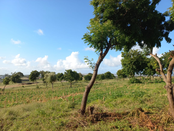 50-by-100-plots-mamburi-ocean-view-mkaazi-2