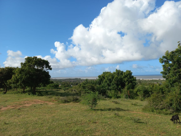 50-by-100-plots-mamburi-ocean-view-mkaazi-3
