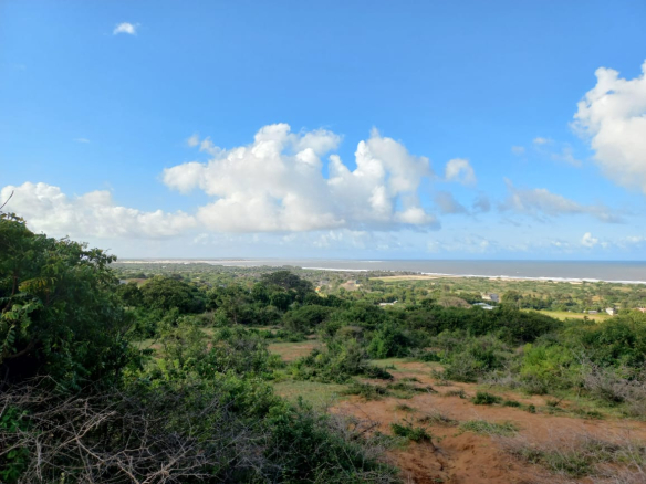 50-by-100-plots-mamburi-ocean-view-mkaazi-4
