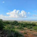 50-by-100-plots-mamburi-ocean-view-mkaazi-7