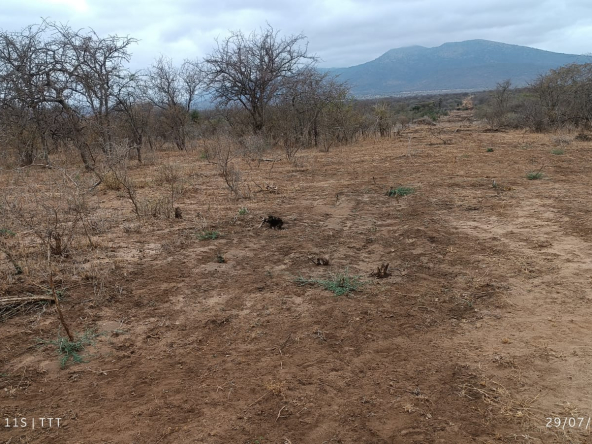 60-acres-kimana-3