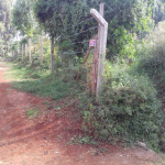 half-acre-for-sale-in-redhill-2