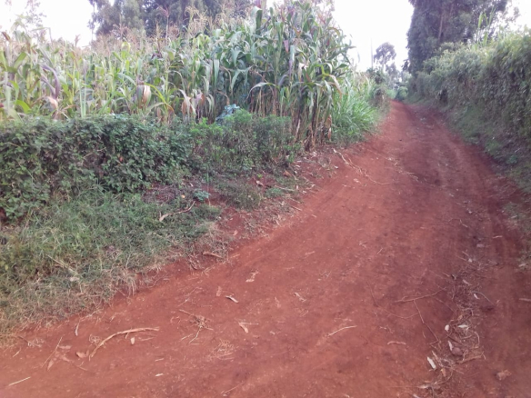 half-acre-for-sale-in-redhill