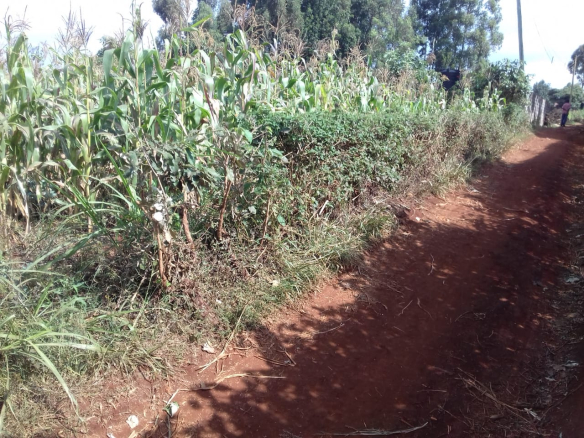half-acre-redhill-limuru