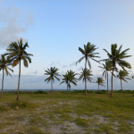 2.5 Acres for sale in Mayungu, Watamu