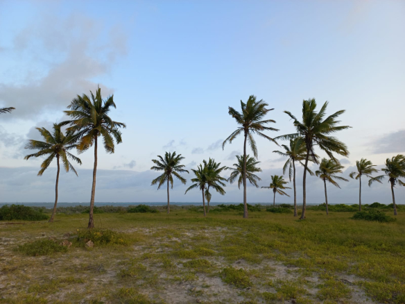 2.5 Acres for sale in Mayungu, Watamu