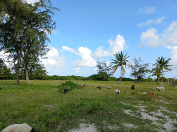 2.5 Acres for sale in Mayungu, Watamu