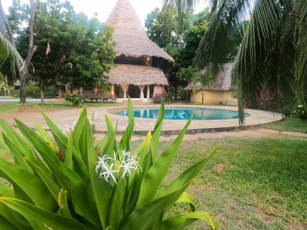 one-bedroom villa in Iguana beach, Malindi. Features