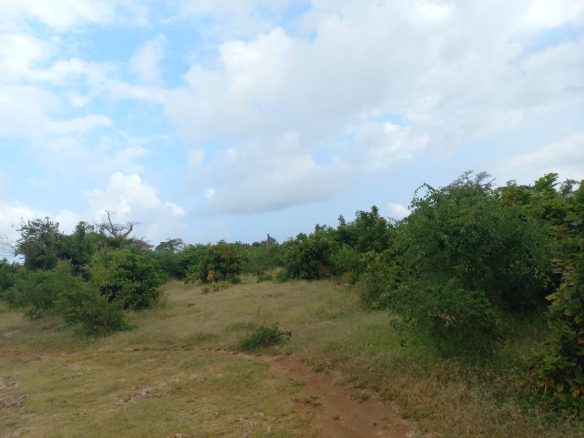 11 acres mayungu 3rd row for sale