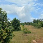 11 acres mayungu 3rd row for sale