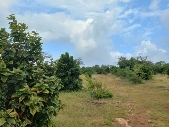 11 acres mayungu 3rd row for sale