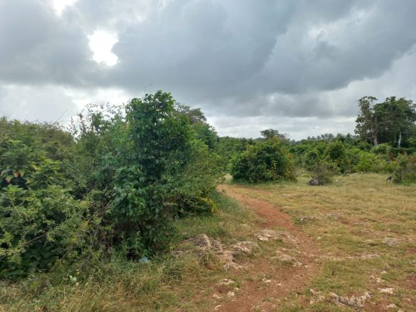 11 acres mayungu 3rd row for sale