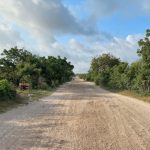 Jacaranda Land For sale