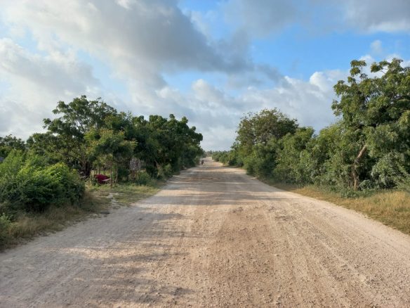 Jacaranda Land For sale