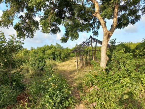 Jacaranda Land For sale