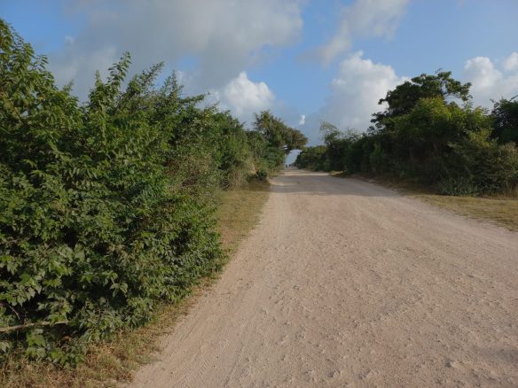 Jacaranda Land For sale