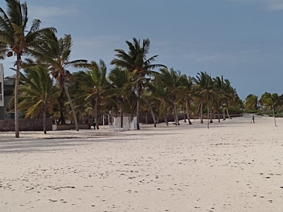 mkaazi-2-5-beachfront-st-thomas-4