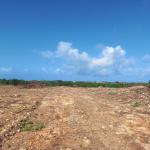 mkaazi-3-acres-3rd-row-mayungu-13