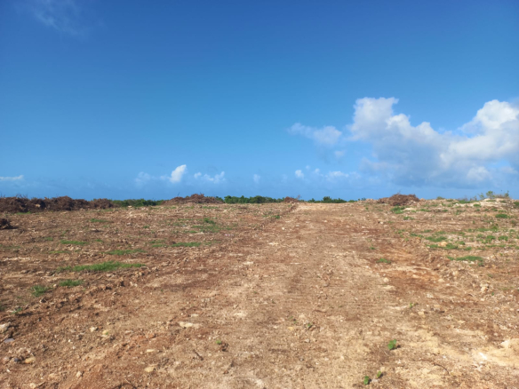 mkaazi-3-acres-3rd-row-mayungu-3