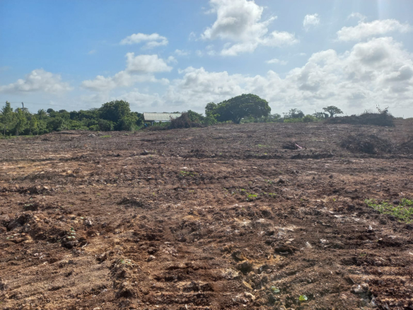 mkaazi-3-acres-3rd-row-mayungu-6