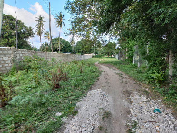mkaazi-8-acres-next-to-sultana-palace-mtwapa-1
