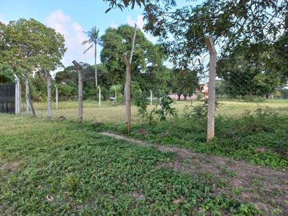 mkaazi-8-acres-next-to-sultana-palace-mtwapa-10