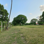 mkaazi-8-acres-next-to-sultana-palace-mtwapa-3