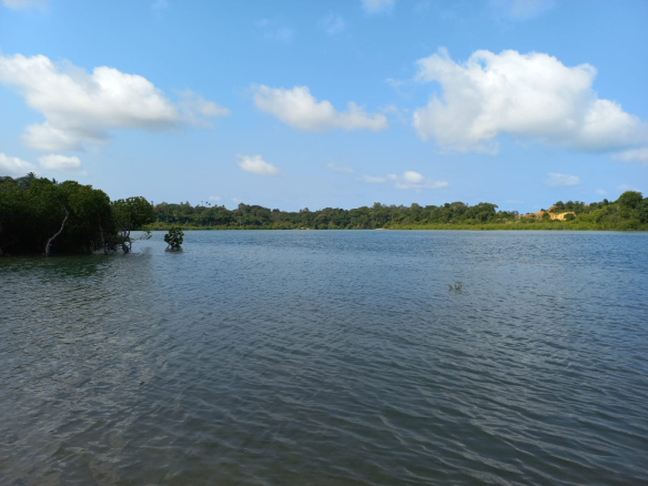 mkaazi-island-mtwapa-for-sale-3