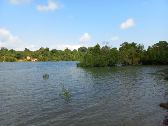 mkaazi-island-mtwapa-for-sale-4