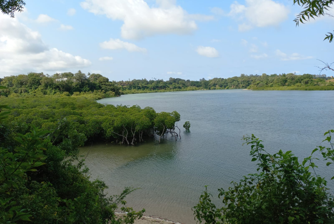 mkaazi-island-mtwapa-for-sale-7