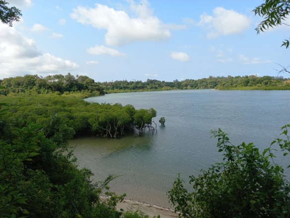 mkaazi-island-mtwapa-for-sale-7