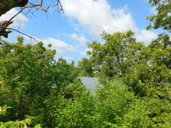 mkaazi-island-mtwapa-for-sale-8