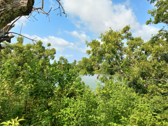 mkaazi-island-mtwapa-for-sale-9