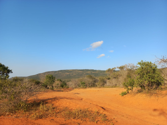 mkaazi-mwahera-ranch-for-leasing-10