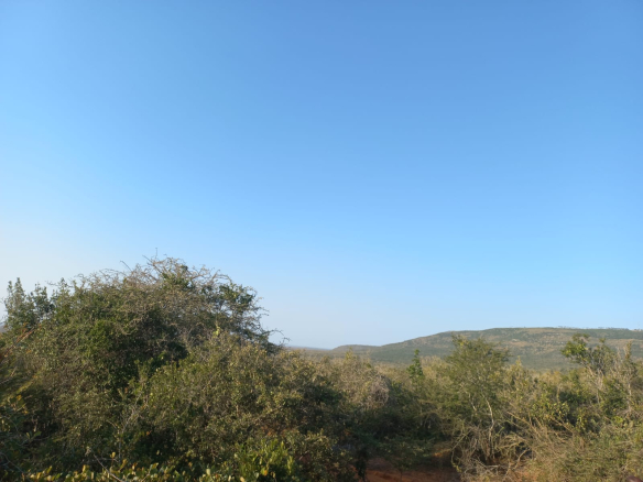 mkaazi-mwahera-ranch-for-leasing-11