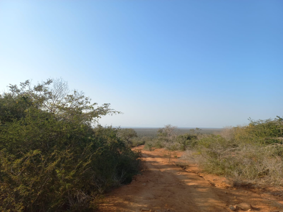 mkaazi-mwahera-ranch-for-leasing-4